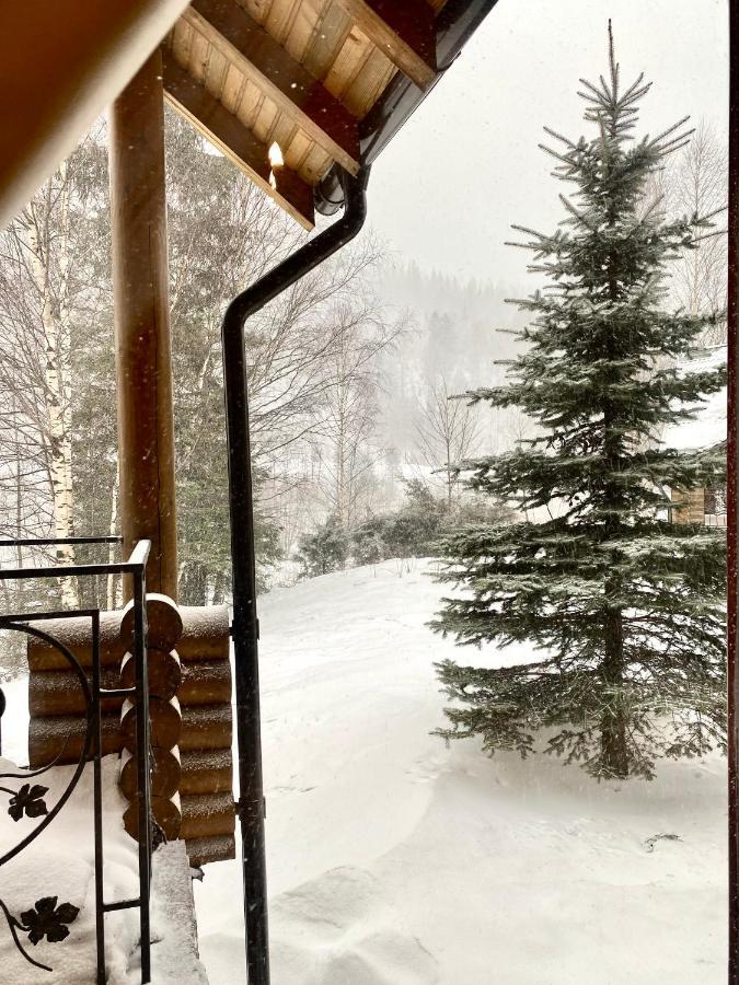 Chalet Four Seasons Villa Tatariv Esterno foto