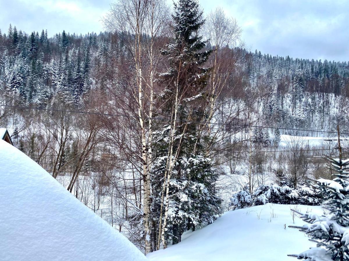 Chalet Four Seasons Villa Tatariv Esterno foto